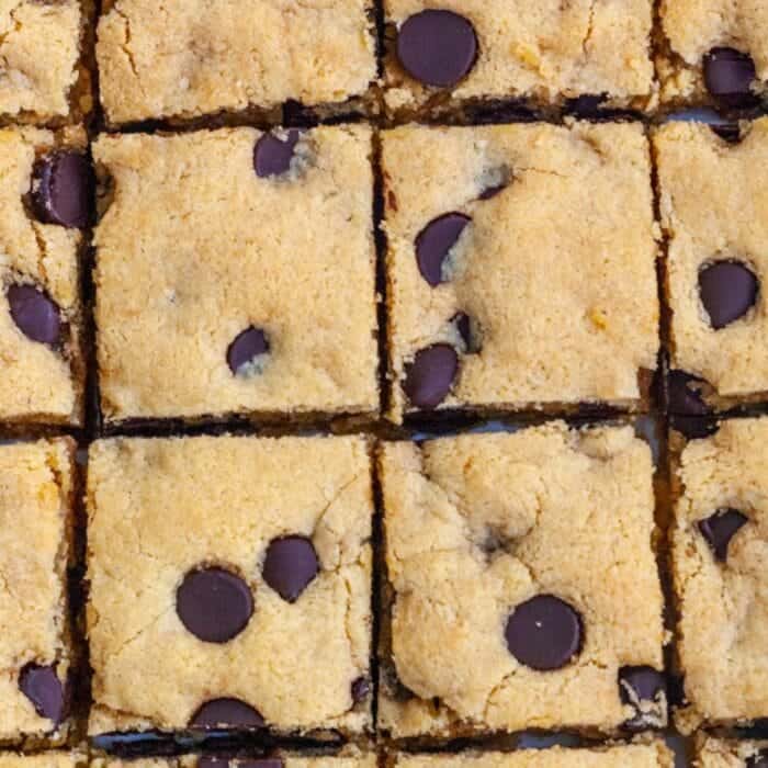 Almond Flour Blondies (Gluten Free and Dairy Free) Organically Addison