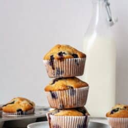 Dairy free blueberry muffins with almond milk