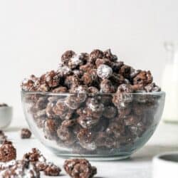 A bowl filled with Healthy Puppy Chow.