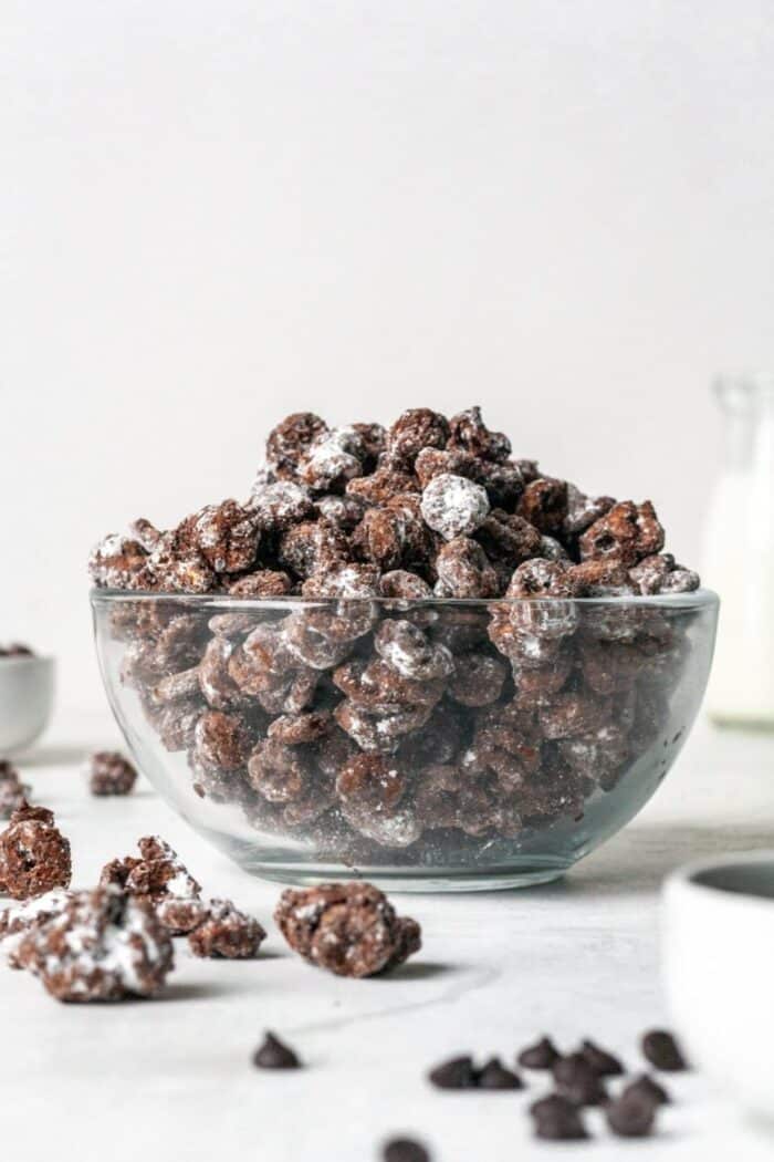 A bowl filled with Healthy Puppy Chow.