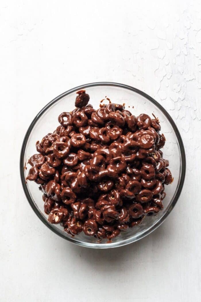 Paleo cereal covered in melted dark chocolate.