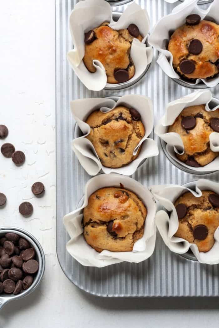 Paleo banana muffins with chocolate chips