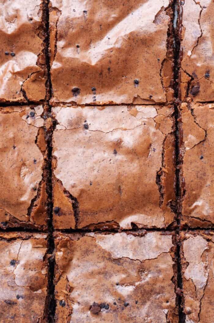 Paleo brownies cut into squares