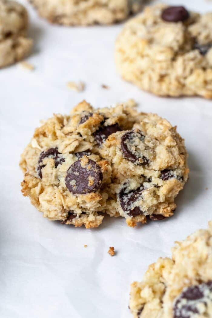 Coconut Flour Oatmeal Cookies (Gluten Free) Organically Addison