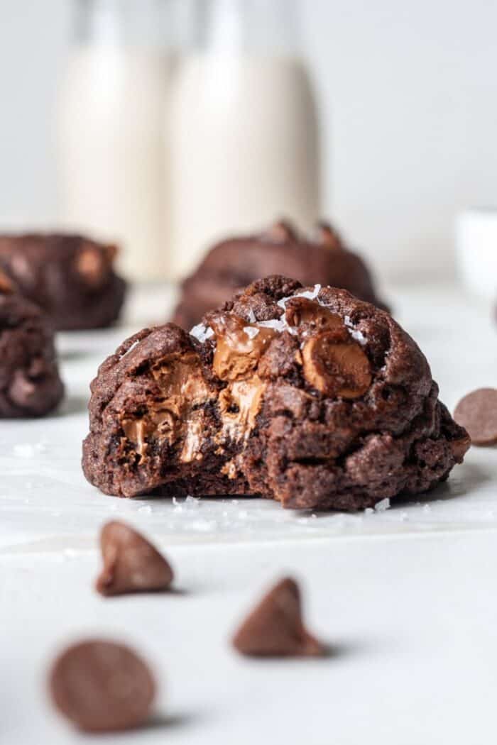 Gluten free chocolate cookies with chocolate chips