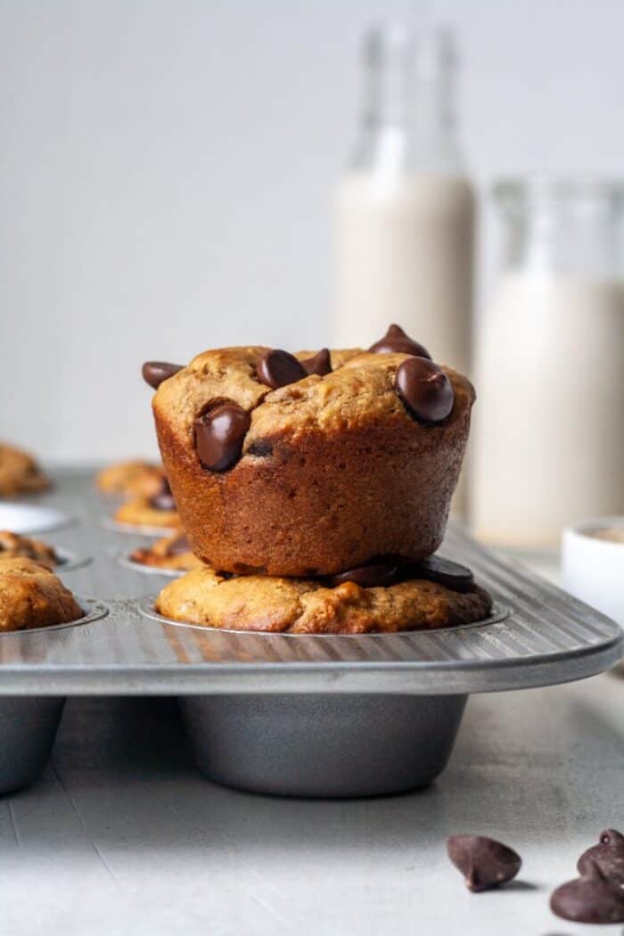Protein muffins with dark chocolate chips