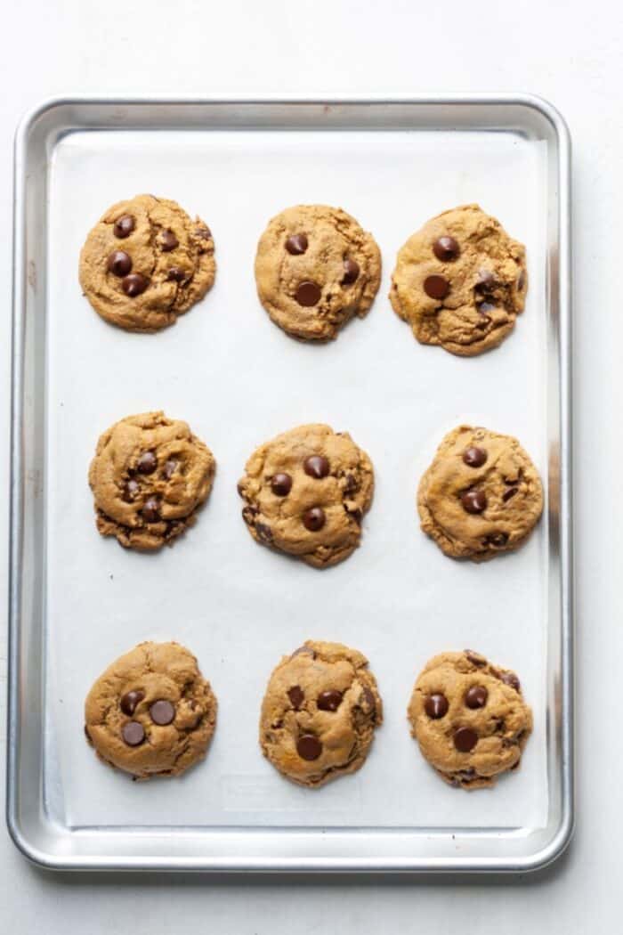 SunButter cookies with chocolate chips