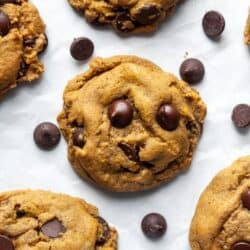 Sunbutter cookies with dark chocolate chips