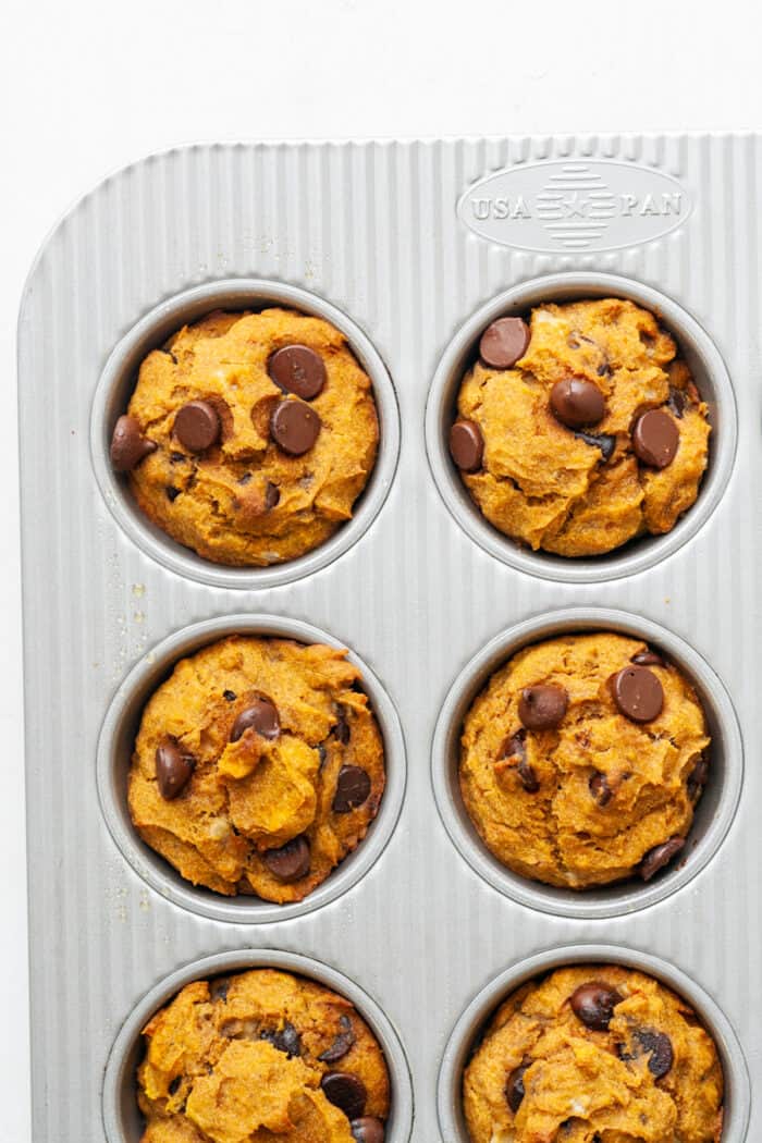 Baked pumpkin banana muffins with chocolate chips
