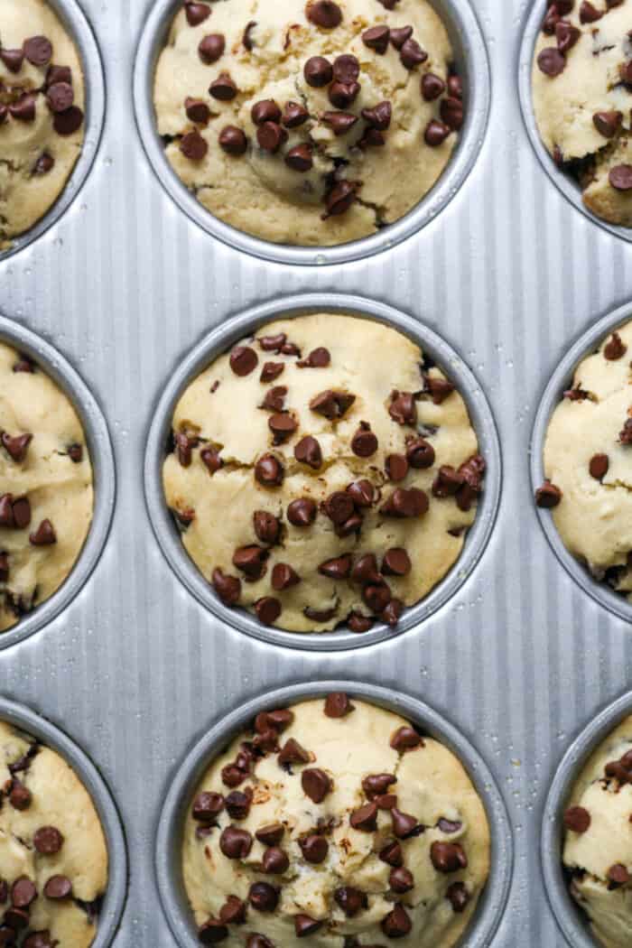 Muffins with mini chocolate chips