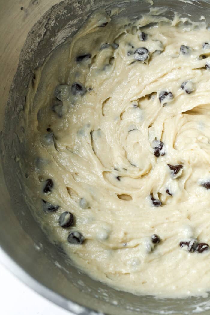 Chocolate chip muffin batter in bowl