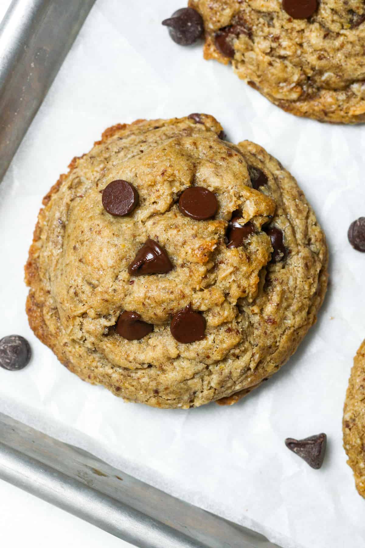 Lactation Cookies (Gluten Free, Vegan) Organically Addison