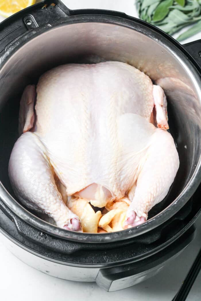 Instant Pot with whole chicken inside