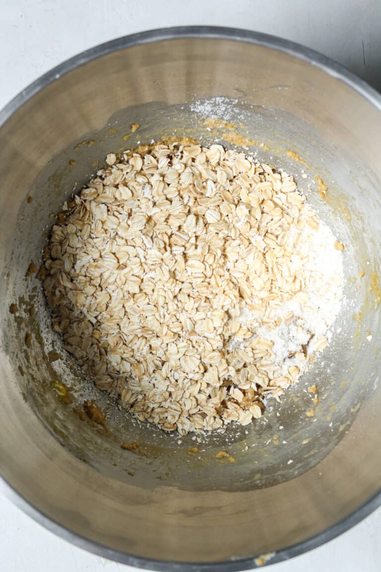 Oatmeal Chocolate Chip Bars Organically Addison