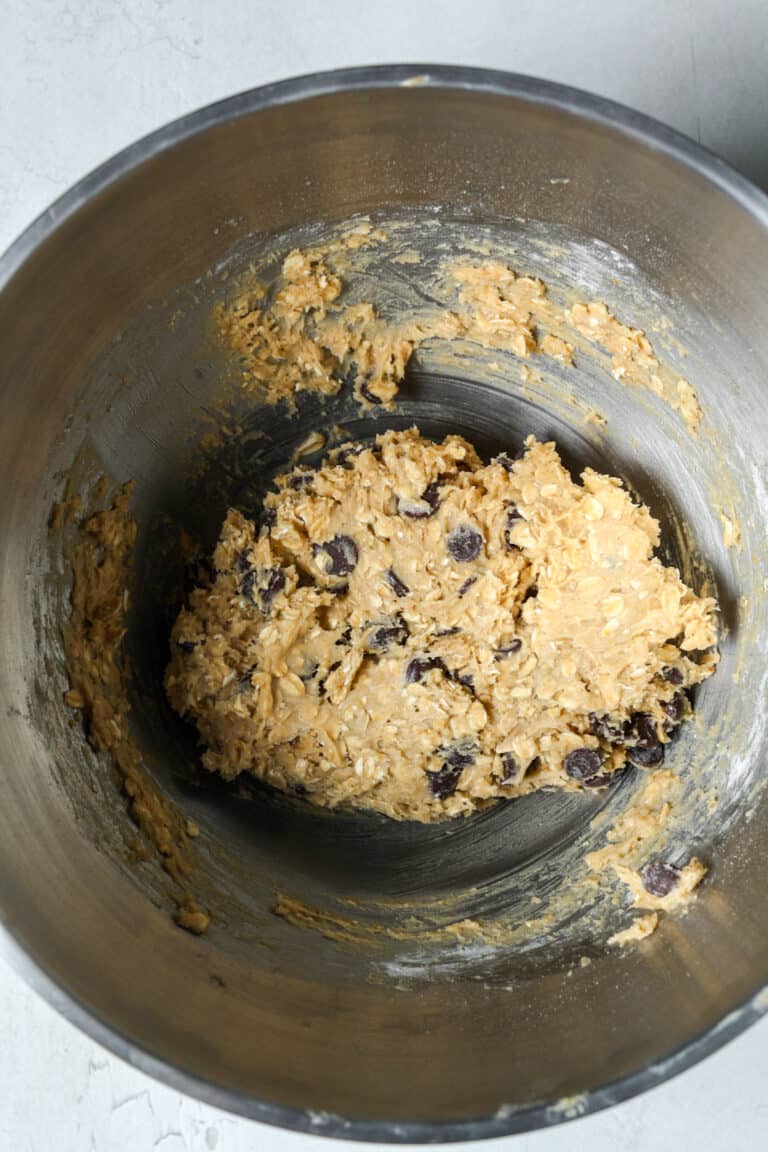 Oatmeal Chocolate Chip Bars Organically Addison