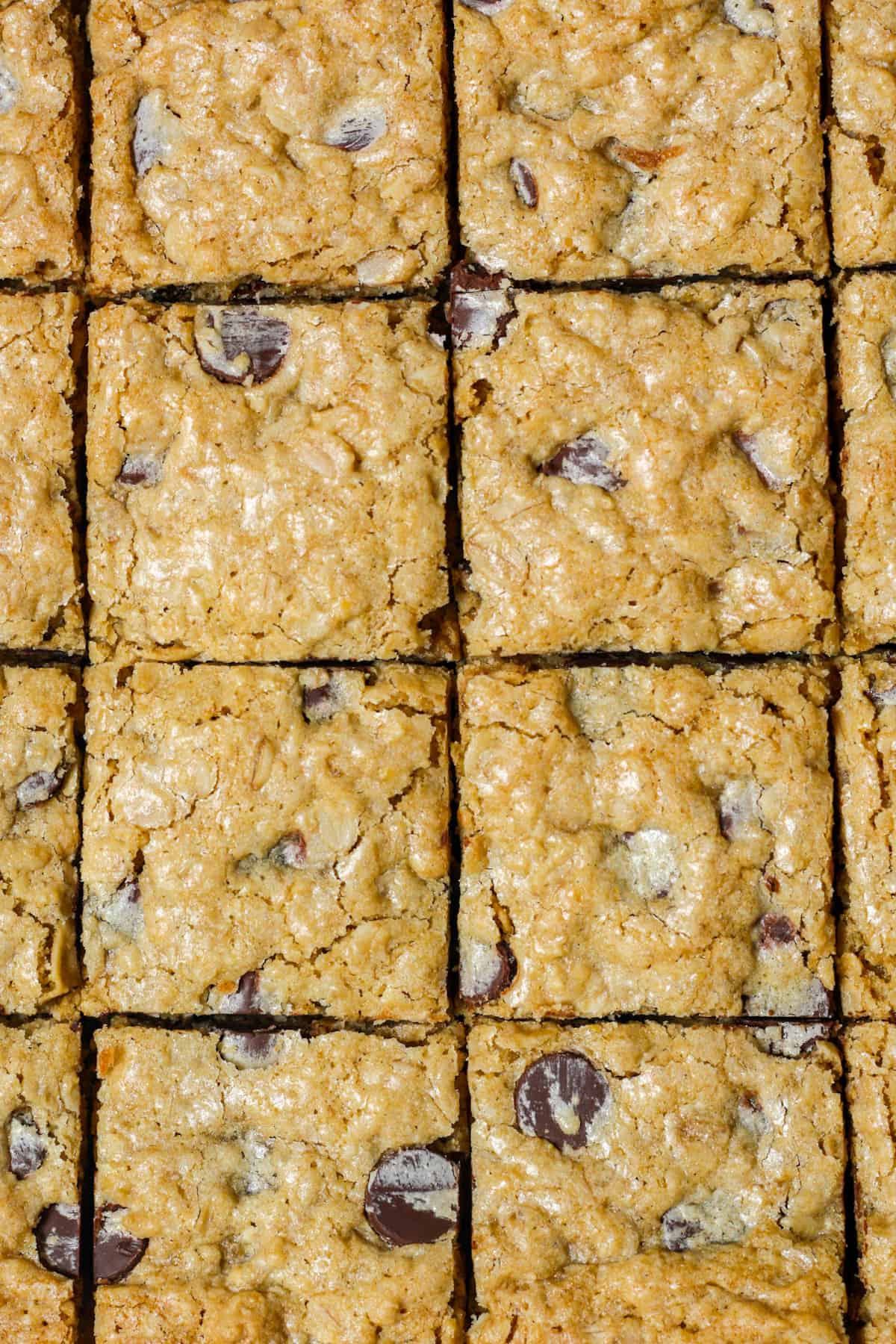 Oatmeal Chocolate Chip Bars Organically Addison