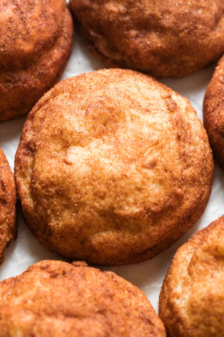 Vegan Snickerdoodles Organically Addison