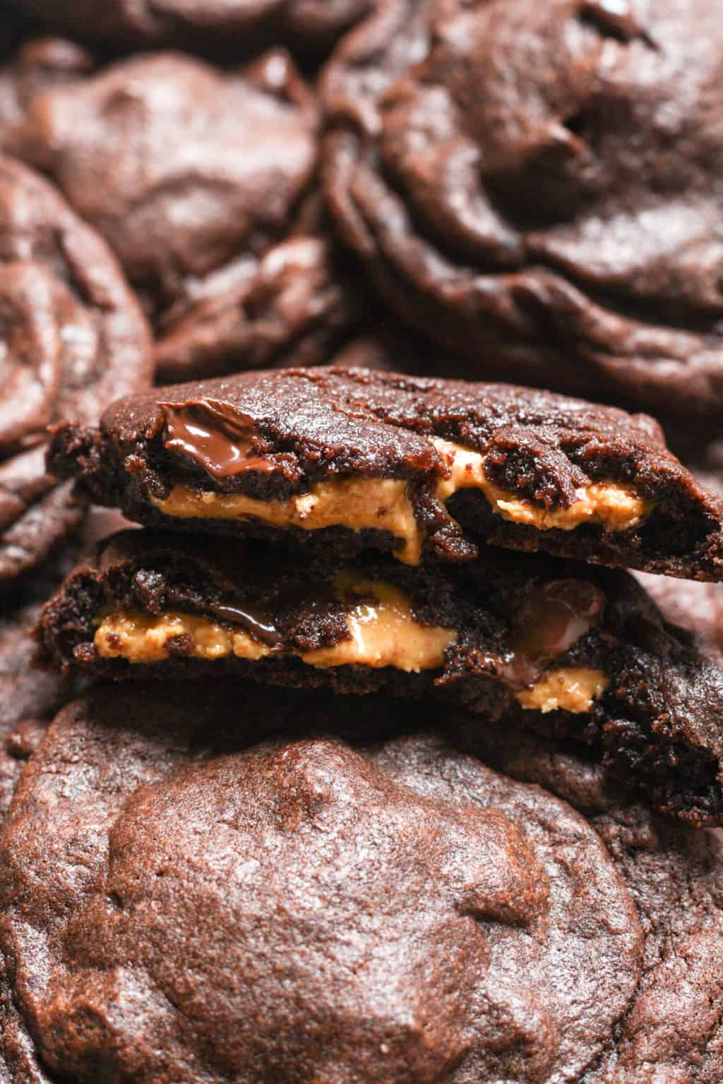 Chocolate Peanut Butter Cookies Organically Addison