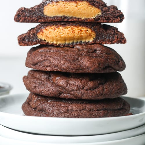 Chocolate Peanut Butter Cookies Organically Addison