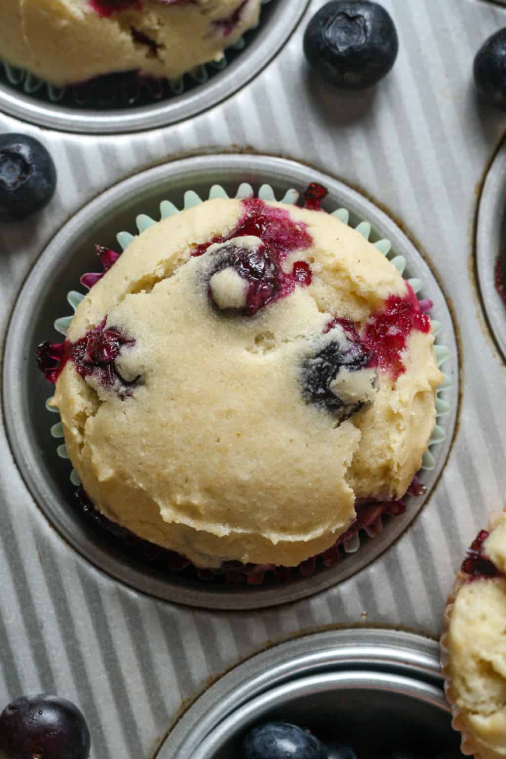 gluten-free-blueberry-muffins-organically-addison