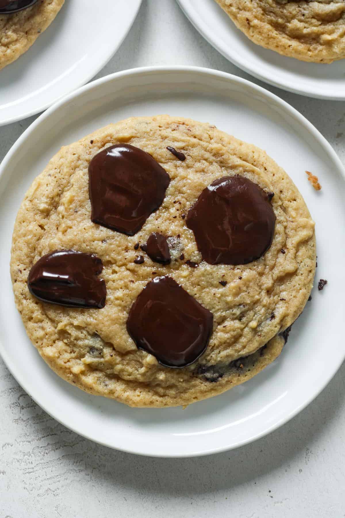 Applesauce Chocolate Chip Cookies Organically Addison