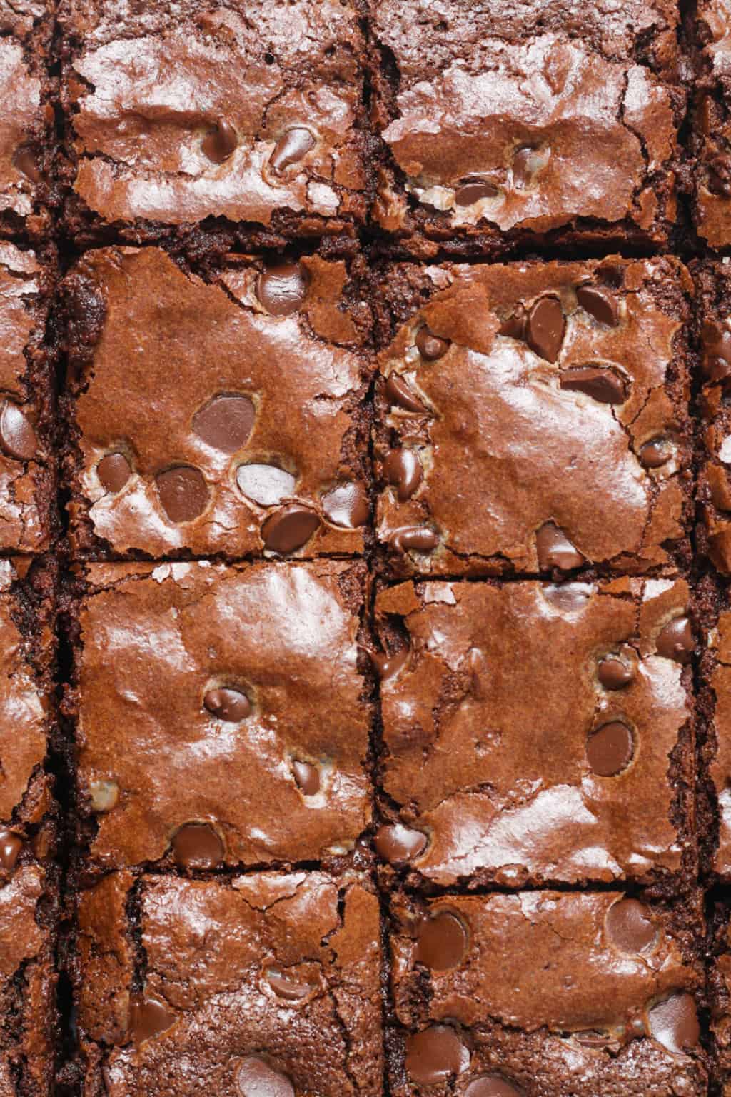 Almond Flour Brownies Organically Addison