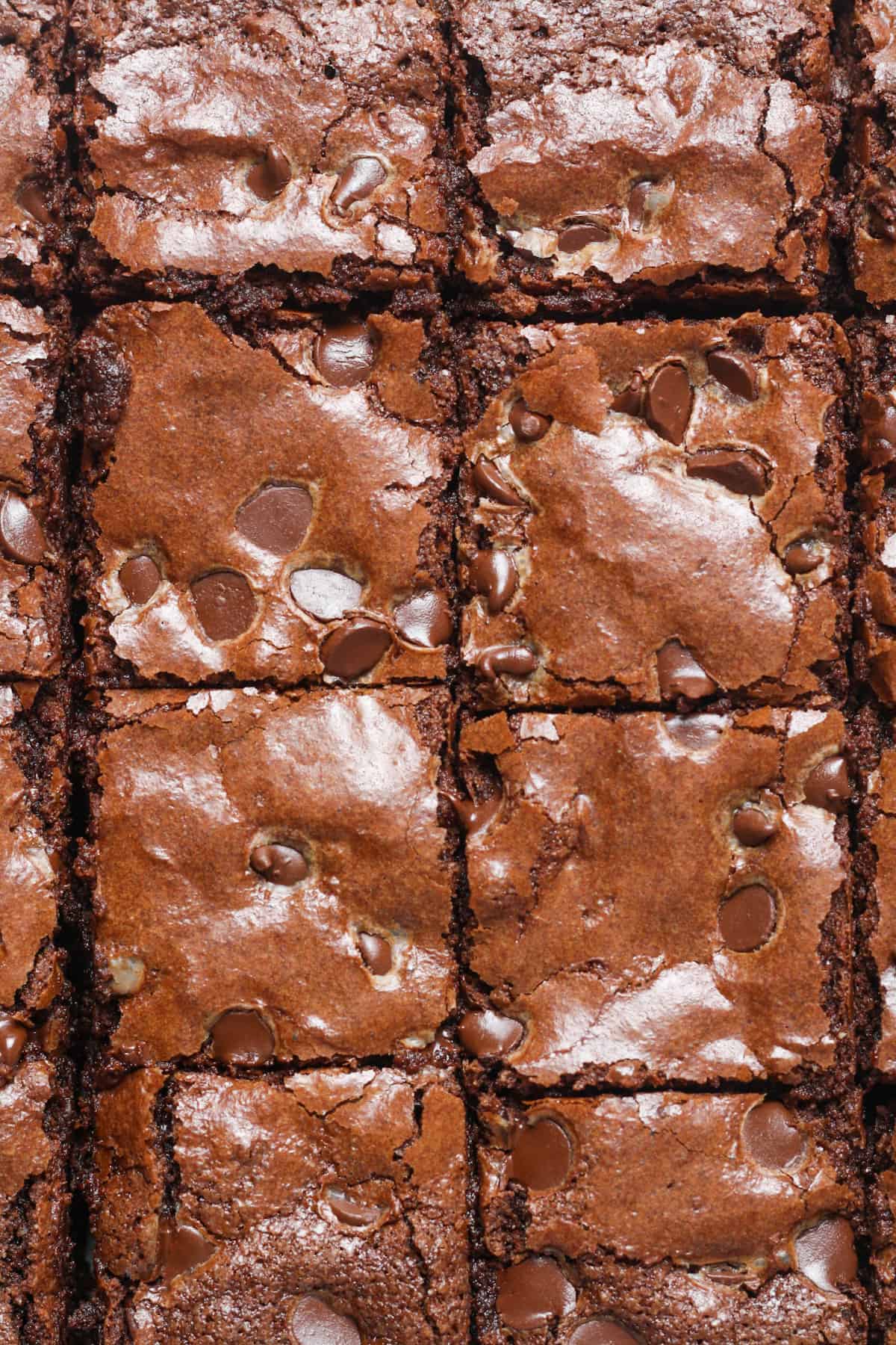Almond Flour Brownies Organically Addison