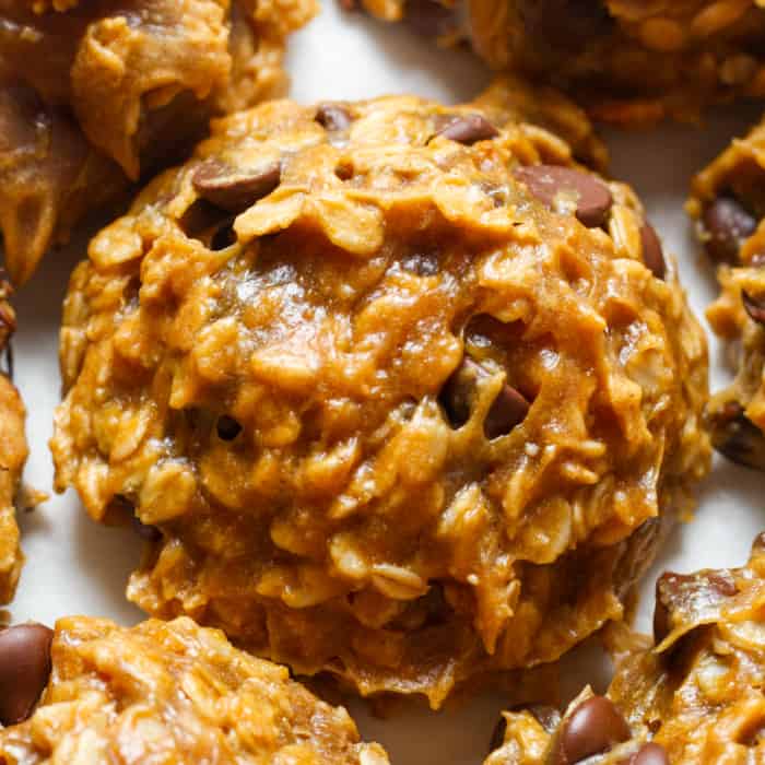 Flourless Oatmeal Cookies Organically Addison