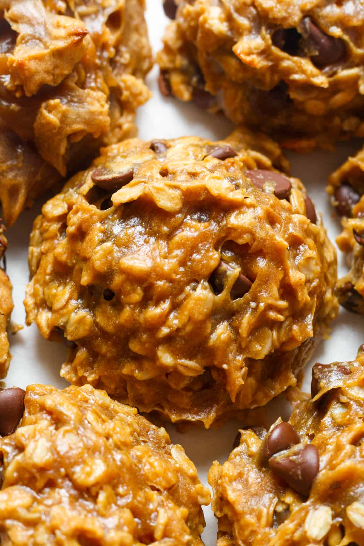 Flourless Oatmeal Cookies-image