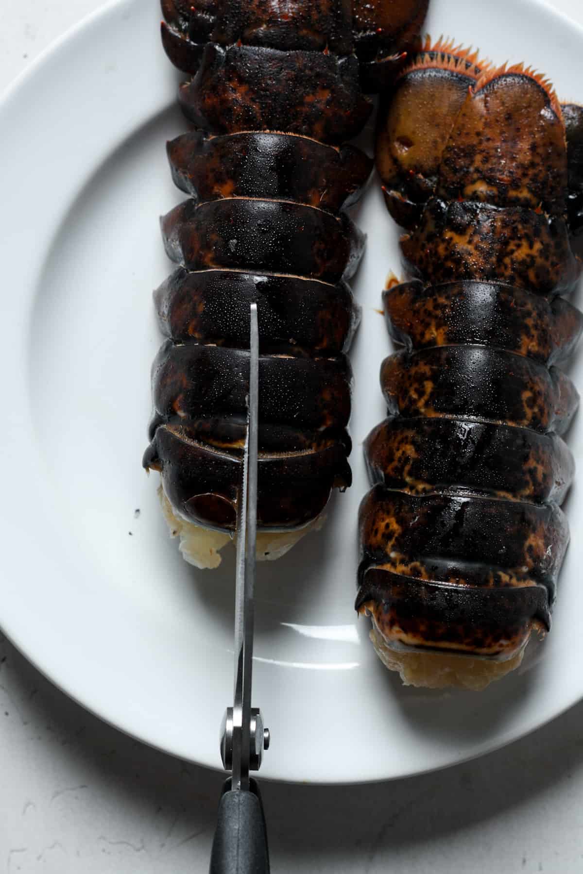 Scissors with lobster tails.