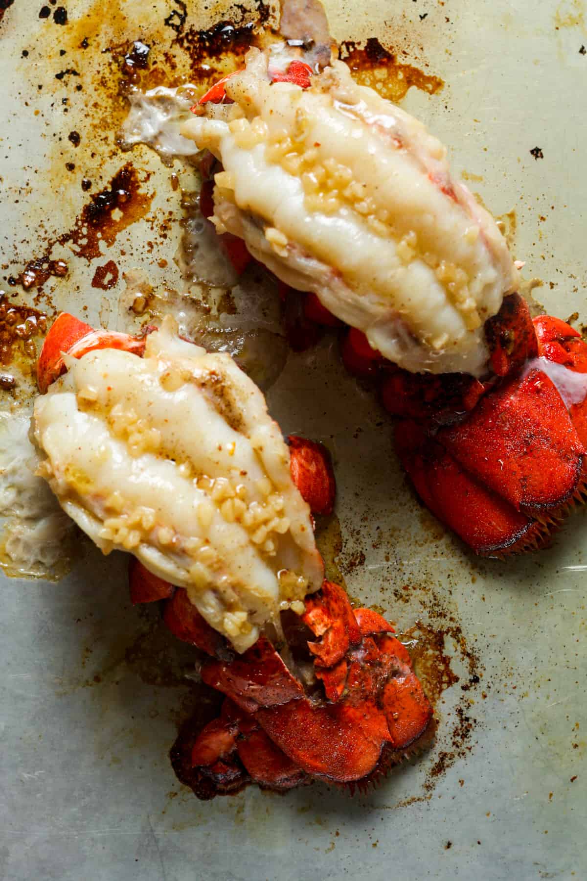 Lobster Tail Recipe - Organically Addison