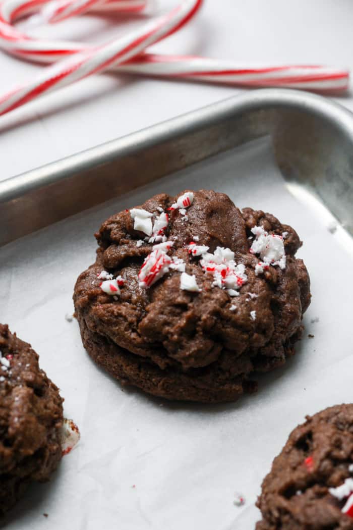 Chocolate candy cane cookies.