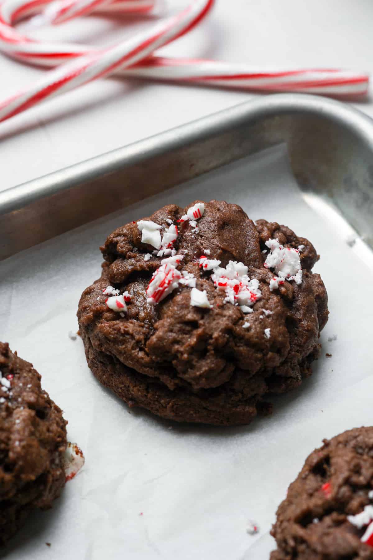 Chocolate Peppermint Cookies - Organically Addison