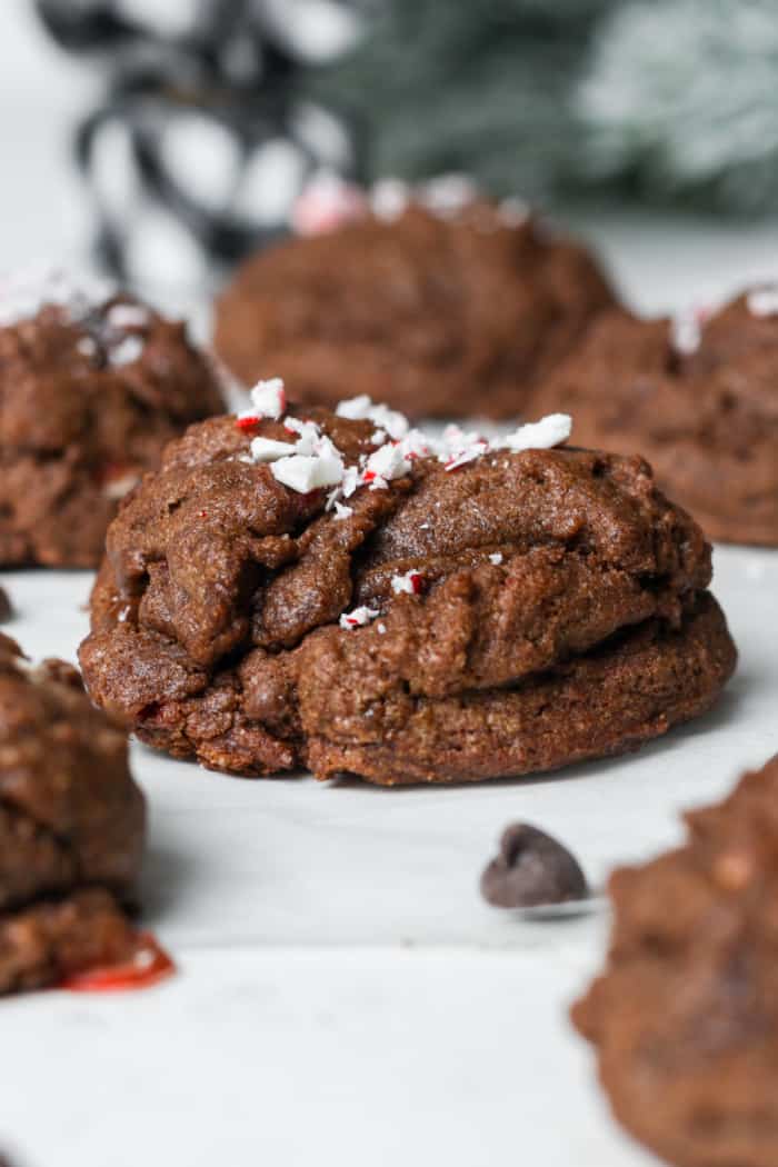 Bakery double chocolate cookies.