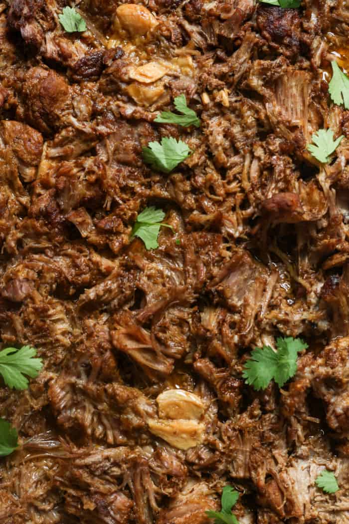 Mexican pulled pork.