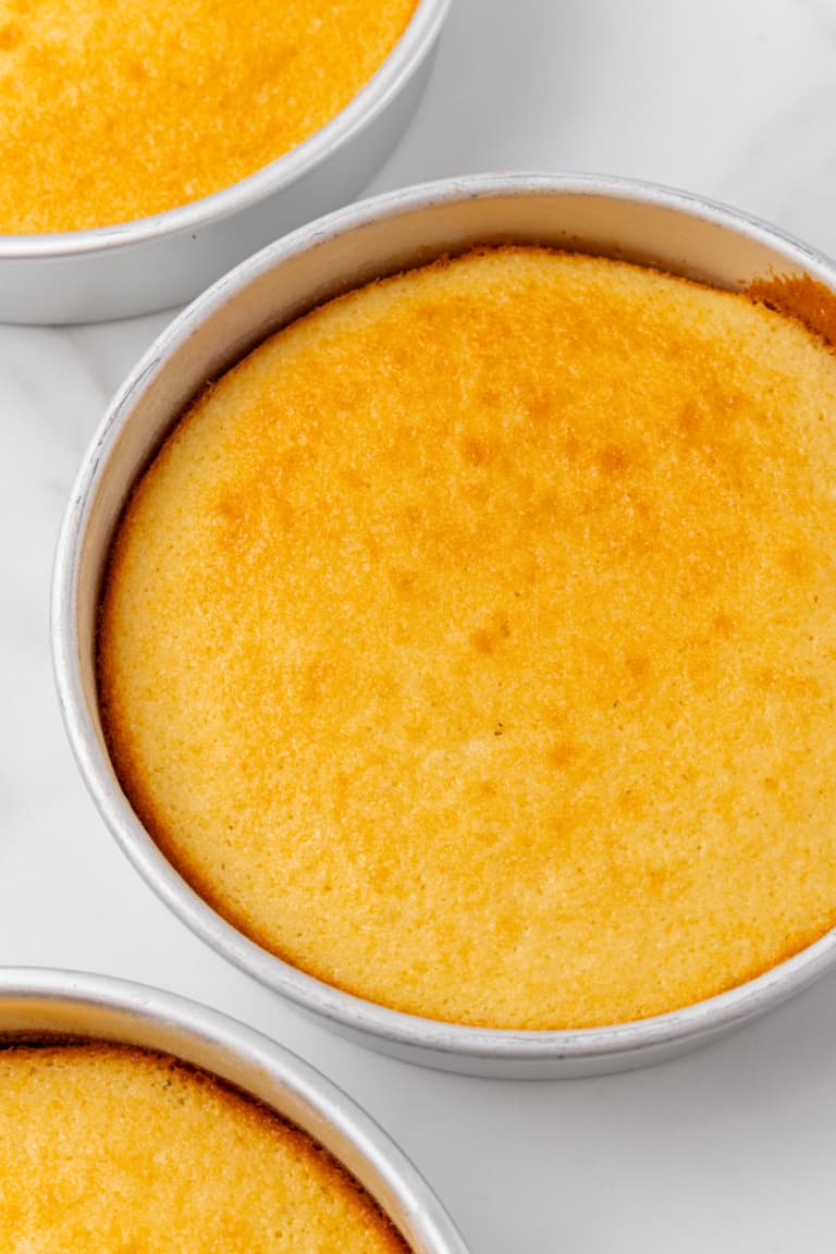 Cookie Dough Cake Organically Addison