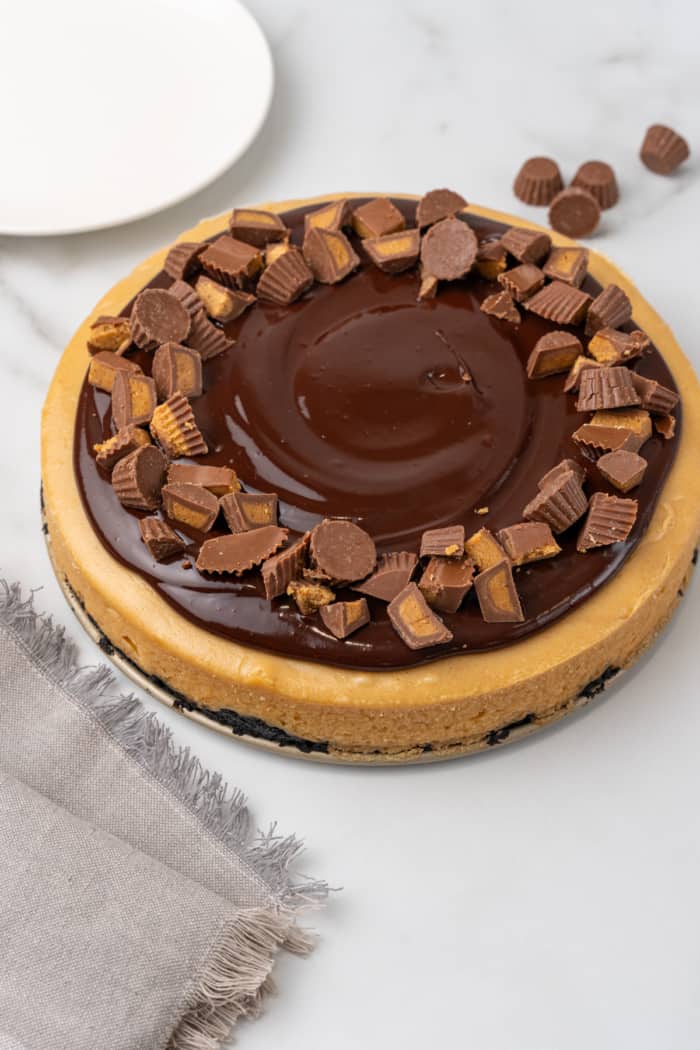 Chocolate peanut butter cheesecake.