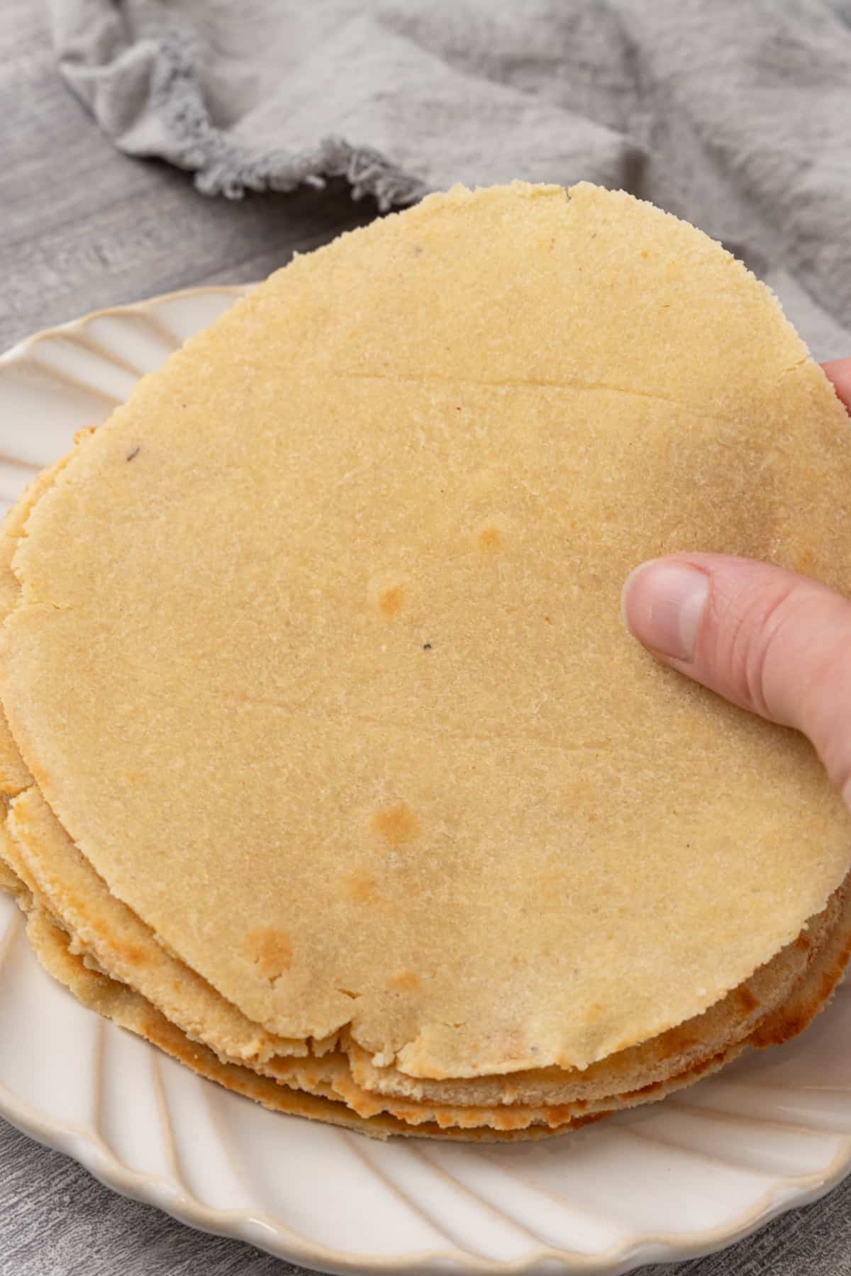 Almond Flour Tortillas Organically Addison