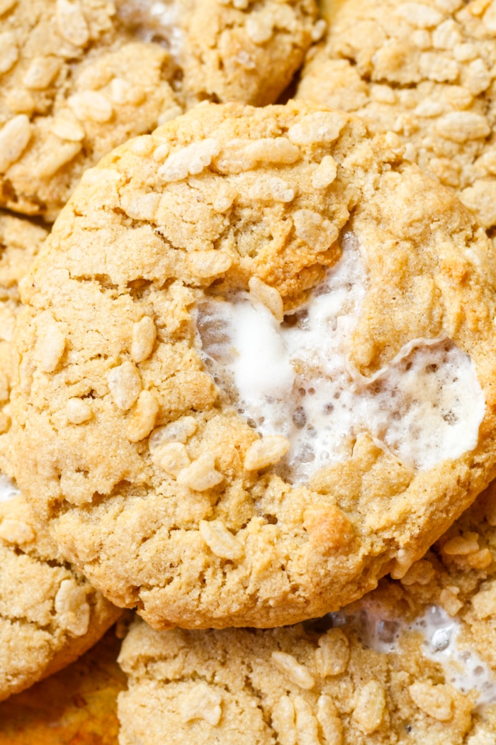Close up of cereal cookies.