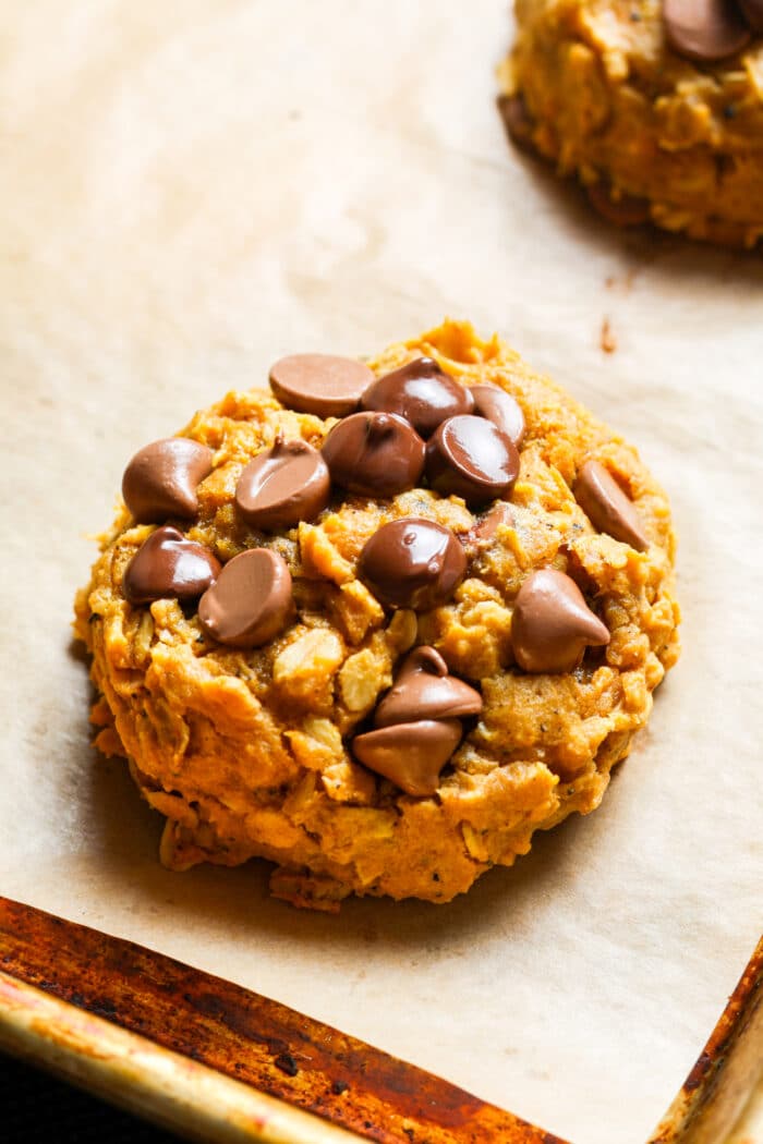 Close up of pumpkin oatmeal chocolate chip cookies.