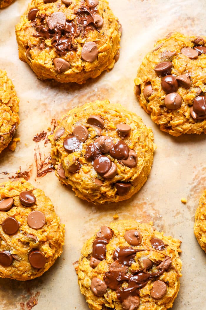 Gooey dark chocolate dessert.