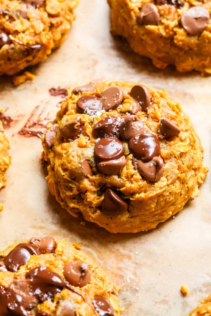 Pumpkin oatmeal chocolate chip cookies.