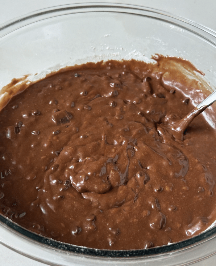 Chocolate chip brownie batter in bowl.