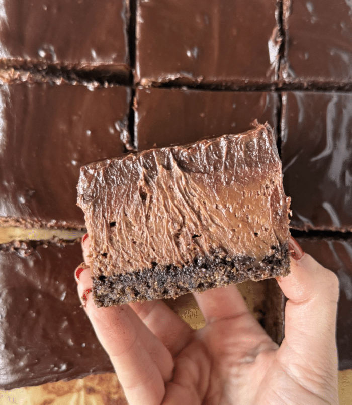 Hand with chocolate cheesecake bar.