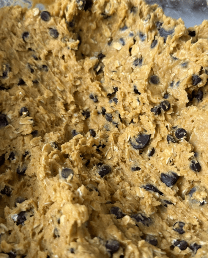 Chocolate chip oat dough.