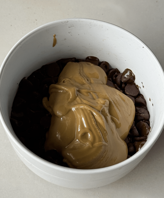 Peanut butter and chocolate bowl.